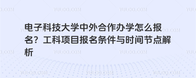 电子科技大学中外合作办学报名条件
