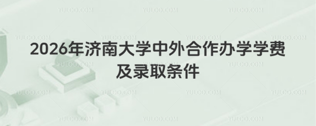 济南大学中外合作办学学费