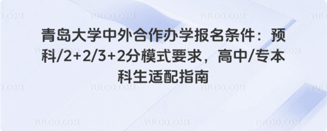 青岛大学中外合作办学报名条件