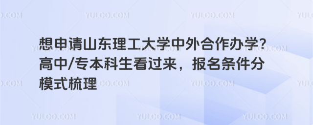山东理工大学中外合作办学报名条件