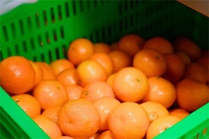 天津法耀高級中學多舉措落實食品安全工作，助力學生健康成長