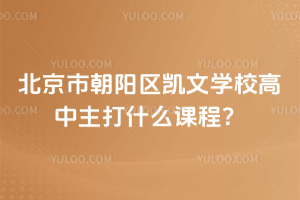 北京市朝陽區(qū)凱文學(xué)校高中主打什么課程？