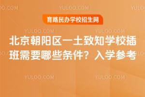北京朝陽區一土致知學校插班需要哪些條件？2025年入學參考