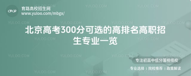 ߿300ֿxĸ