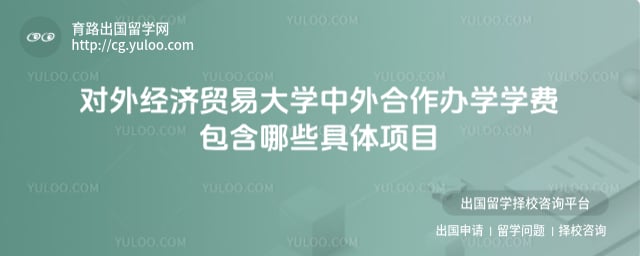 对外经济贸易大学中外合作办学学费