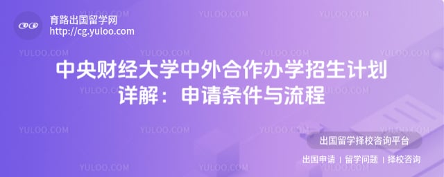 中央财经大学中外合作办学招生计划