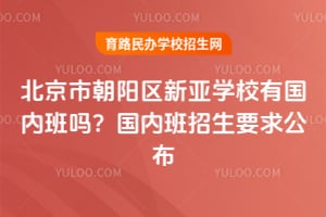北京市朝陽區新亞學校有國內班嗎？2025年國內班招生要求公布