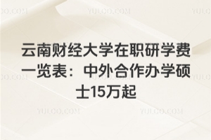 云南財(cái)經(jīng)大學(xué)在職研學(xué)費(fèi)一覽表：中外合作辦學(xué)碩士15萬(wàn)起