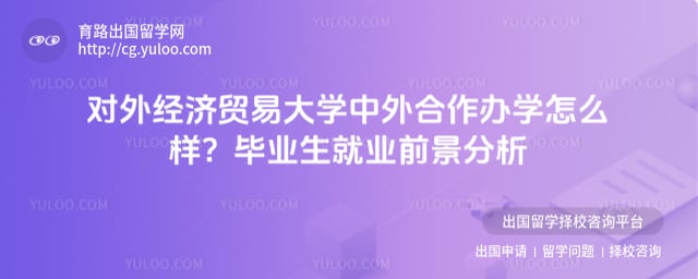 对外经济贸易大学中外合作办学怎么样