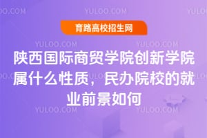 陕西国际商贸学院创新学院属什么性质，民办院校的就业前景如何