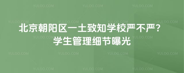 北京朝陽區一土致知學校嚴不嚴