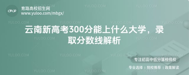 ¸߿300ʲôѧ