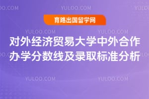2025年对外经济贸易大学中外合作办学分数线及录取标准分析