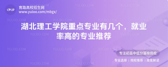 湖北理工学院重点专业有几个