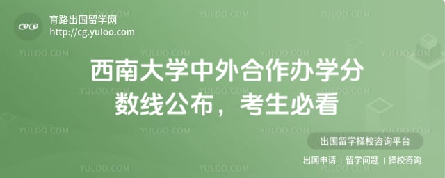 西南大学中外合作办学分数线