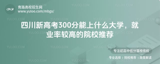 四川新高考300分能上什么大學