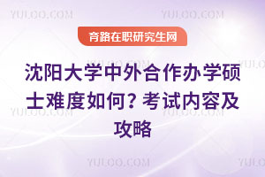 沈阳大学中外合作办学硕士难度如何？考试内容及攻略