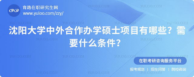 沈阳大学中外合作办学硕士项目有哪些
