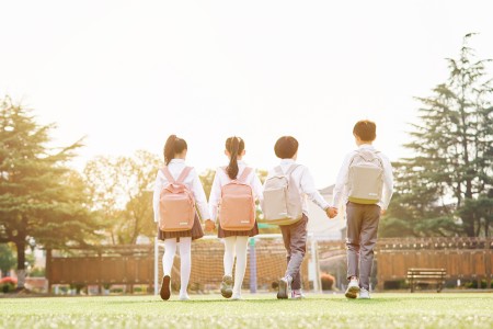 北京市豐臺區新北賦學校小學課程