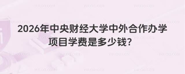 中央财经大学中外合作办学学费