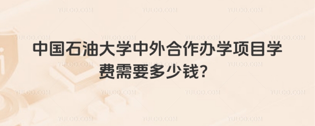 中国石油大学中外合作办学学费