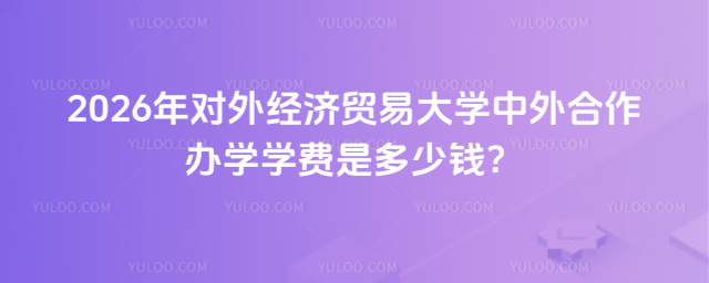 对外经济贸易大学中外合作办学