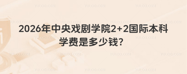 中央戏剧学院国际本科学费