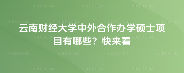 云南財經大學中外合作辦學碩士項目有哪些？快來看
