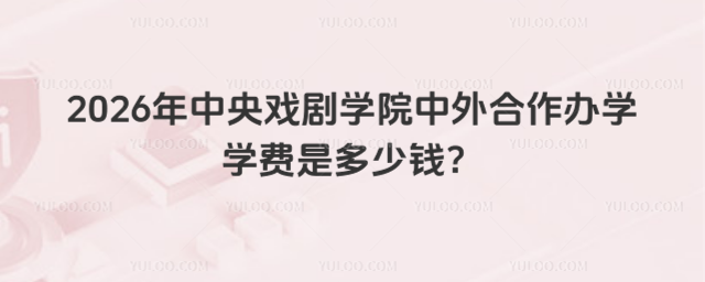 中央戏剧学院中外合作办学学费