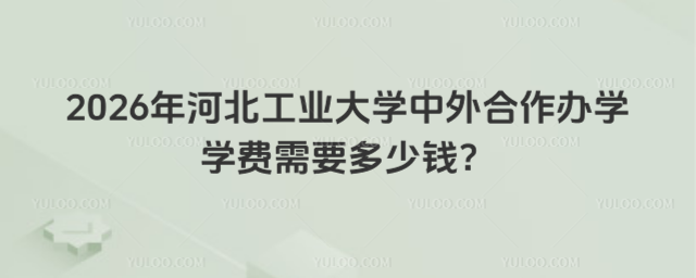 河北工业大学中外合作办学学费