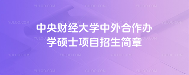 中央财经大学中外合作办学硕士项目招生简章