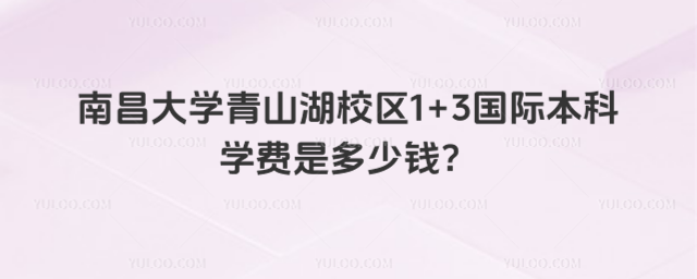 南昌大学国际本科学费