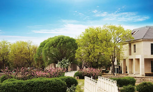 北京东方红学校高考复读班学费