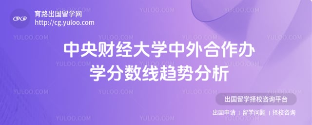 中央财经大学中外合作办学分数线