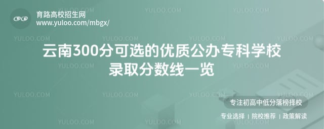 300ֿxă(yu)|(zh)kƌW(xu)У