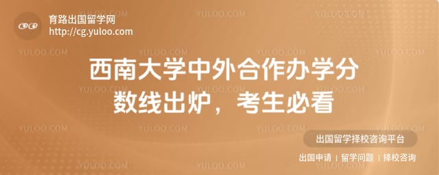 西南大学中外合作办学分数线