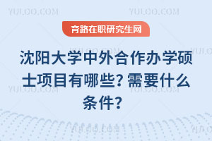 沈阳大学中外合作办学硕士项目有哪些？需要什么条件？