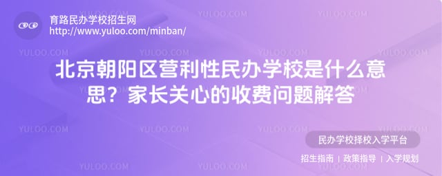朝阳区营利性民办学校是什么意思