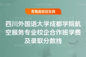 四川外國語大學(xué)成都學(xué)院航空服務(wù)專業(yè)校企合作班學(xué)費(fèi)及錄取分?jǐn)?shù)線
