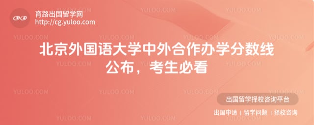 北京外国语大学中外合作办学分数线