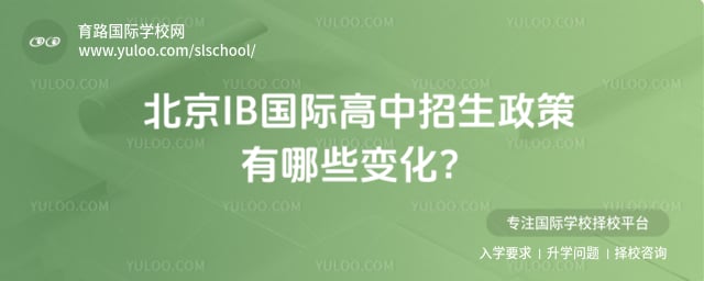 IBʸ