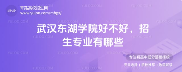 武漢東湖學院好不好