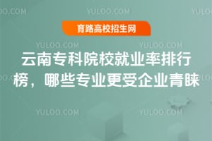 云南專科院校就業(yè)率排行榜,哪些專業(yè)更受企業(yè)青睞?