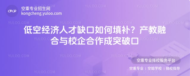 低空經濟人才缺口