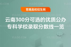 2025年云南300分可选的优质公办专科学校录取分数线一览