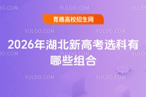 2026¸߿xЩM