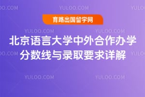 2025年北京语言大学中外合作办学分数线与录取要求详解