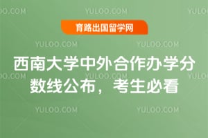 2025年西南大学中外合作办学分数线公布，考生必看