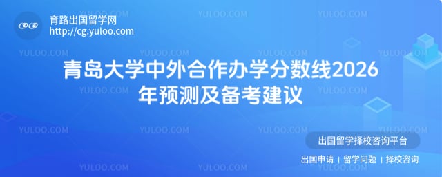 青岛大学中外合作办学分数线