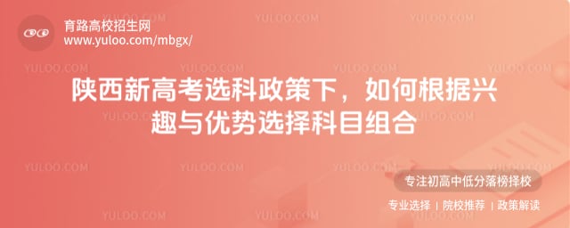 陜西新高考選科政策